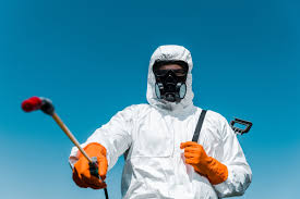 Best Fumigation Services  in Waverly, NY